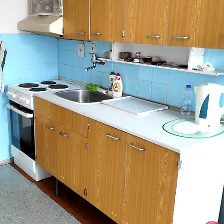 Apartment Radkovska *