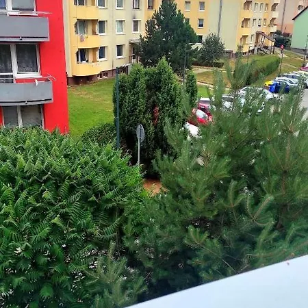 Apartment Radkovska